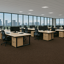 Ковролин Haima Atom 04 Brown  | FLOORDEALER